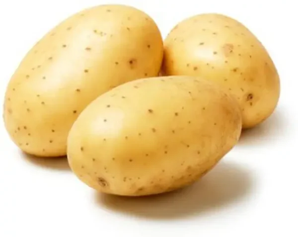 Potato